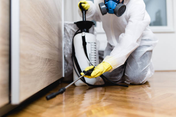 Best Pest Control Near Me  in Airport, CA