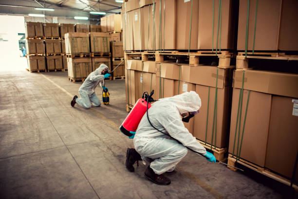 Best Rat Extermination Near Me  in Airport, CA