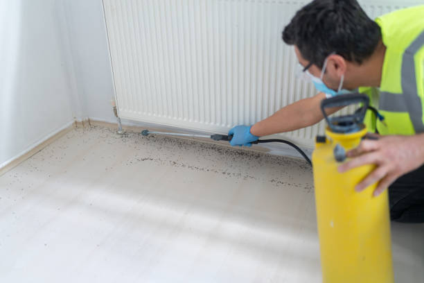 Best Commercial Pest Control Services  in Airport, CA