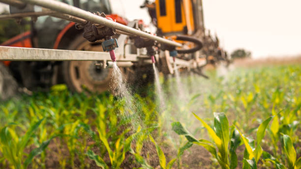 Best Ant Control Services  in Airport, CA